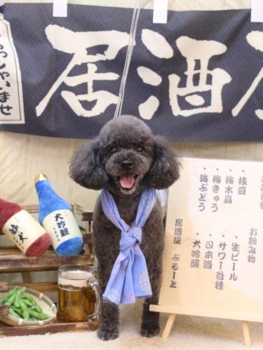 20240612ボーロくん